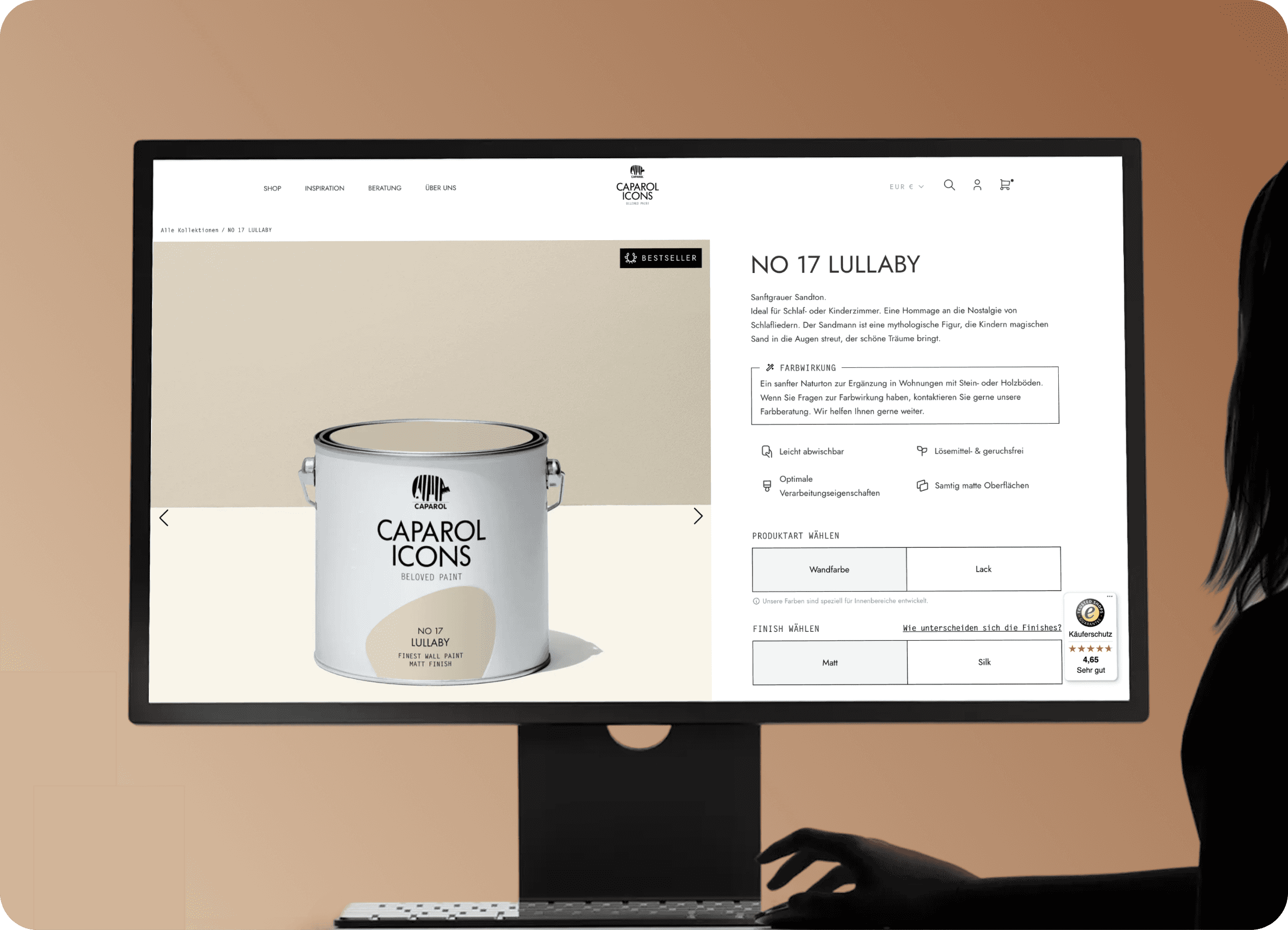 Caparol Icons store on desktop
