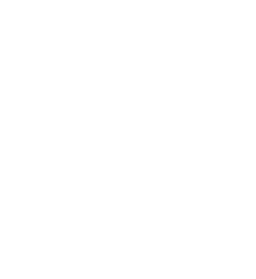 BUMER logo